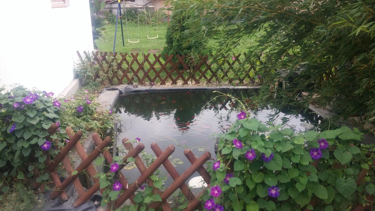 Rakoczi Vendeghaz Lägenhet Poroszló Exteriör bild